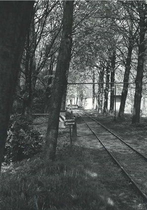 Smalspoor door het bos op het fabrieksterrein